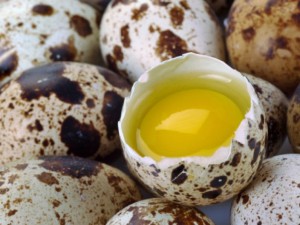 Тайната на пъдпъдъчите яйца – какво се крие под черупката