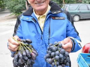 Грозде за чудо и приказ произведе дядо Илия от Белащица