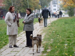 Един непредубеден поглед към изборния ден