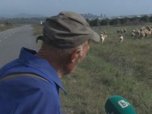Овчарят тотомилионер хванал жена си на калъп с грък