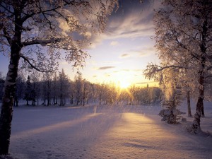 9 градуса и сняг в петък
