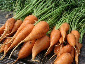 Морковите пазят от тумори