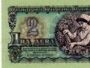 Гроздоберачката от двулевката  стана на 70