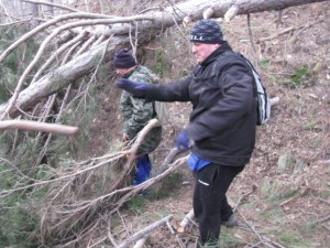 Изроди убиха малки пиленца
