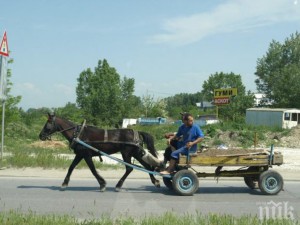 Ужас в Пловдивско! 4-годишно момче е в болница, след като бе сгазено от каруца