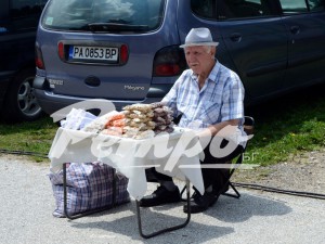 Не е вярно, че „народната” власт отне имотите на селяните насила