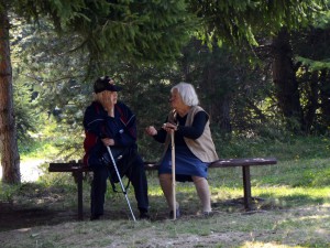 Направете консултация в пенсионното, безплатна е
 