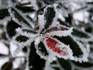 Климатолог №1 доц. Георги Рачев: Свърши циганското лято, с 10˚ по-студено в събота
