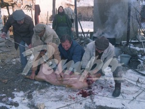 Спомени от соца: Юнаклък на Коледа с прасе и брадва
 