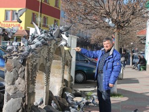 Гълъби будят като часовник тв-техника на Ардино