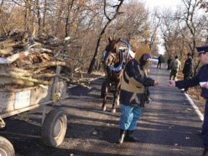 Най-после да се ограничат кражбите и незаконната сеч