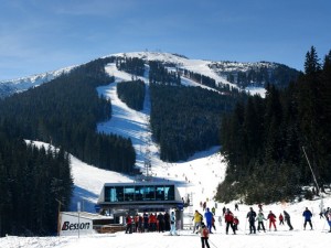 Вълци дебнаха скиор, висял на бор цяла нощ