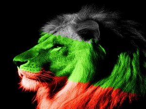26 причини да се чувствате горди, че сте българи
