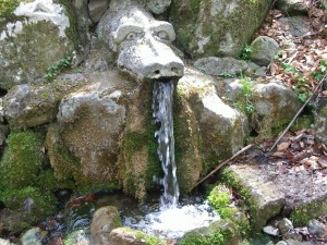 Водата на Витоша - отровна