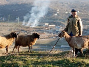 Как ще деля със снаха си бащината къща?