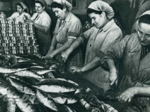 Консервен комбинат "Янко Костов"