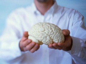 Човек и на старини произвежда мозъчни клетки, стига да не им пречи с поведението си