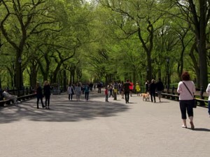Живакът скача до 30˚