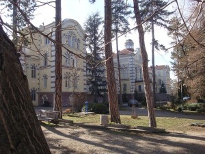 Спомени от соца: Пионерският дворец роди звезди  в изкуството и спорта