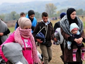  Две групи бежанци са задържани в Петрич
 
