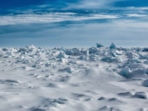 Арктика може да остане без ледена покривка
 