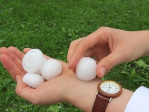 28˚ и градушки като орех в неделя

 