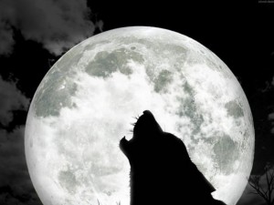 Днес лятното слънцестоене съвпада с пълнолуние