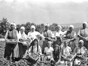 Спомени от соца: Не искаш в ТКЗС? Слагат ти печат „Кулак”