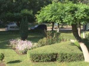 Пенсионер превърна градинка в оазис