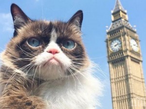 Най-известната котка в света обиколи Лондон