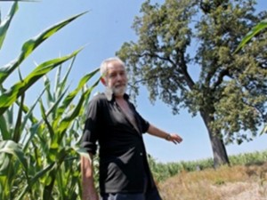 Дърво на проклятието расте в България