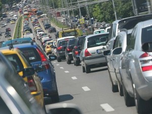 Учени установиха, че шимпанзетата вярват в бог