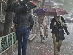 Очаква ни силен вятър , 24 области с жълт код
