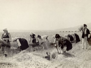 Днес отбелязваме летния Атанасовден