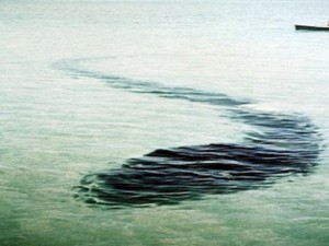 4-метрово чудовище дебне на дъното на Черно море
