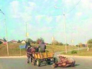 Цигани влачат възрзан кон по шосето