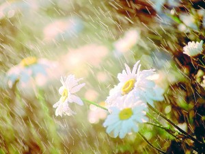 До 26º през уикенда, ще превалява