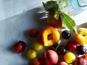 Костилките са новата панацея за рак 