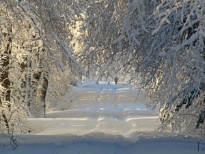 Климатолог №1 доц. Георги Рачев: Гответе се за минус 10º и обилен сняг!
 
