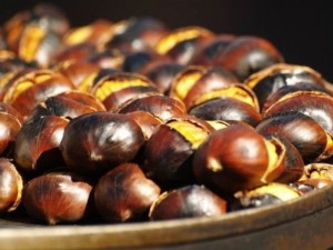 

Диабетиците да забравят за кестените 


