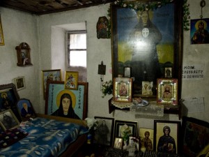 Нямо дете проговори на гроба на Преподобна Стойна
 