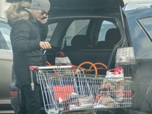 Виктор Николаев – домакиня за пример
 