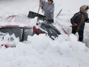 За виелиците и „голямата паника”
