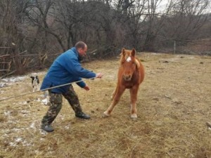 Кой ще накаже убийцата на 4-те кончета?
 