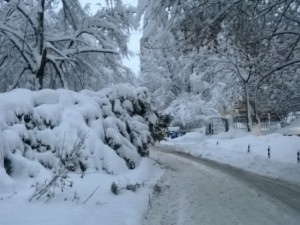 
Студеният апокалипсис се завръща утре! Чака ни поредната порция ледени дни

