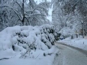 Иде сняг и арктически студ