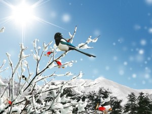 
Снегът спира! Времето постепенно се затопля

