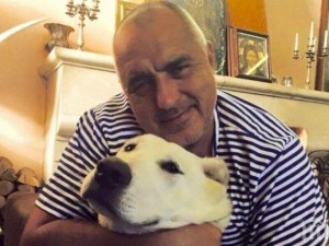 Борисов премиер, ГЕРБ с кабинет на малцинството! Другото е рекет. Спекулата за коалиция с БСП е подмяна на вота