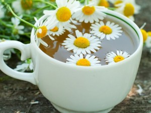 Спасете се от шиповете с лайка
 