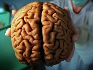 
Популярни митове за мозъка ни, които се оказаха грешни